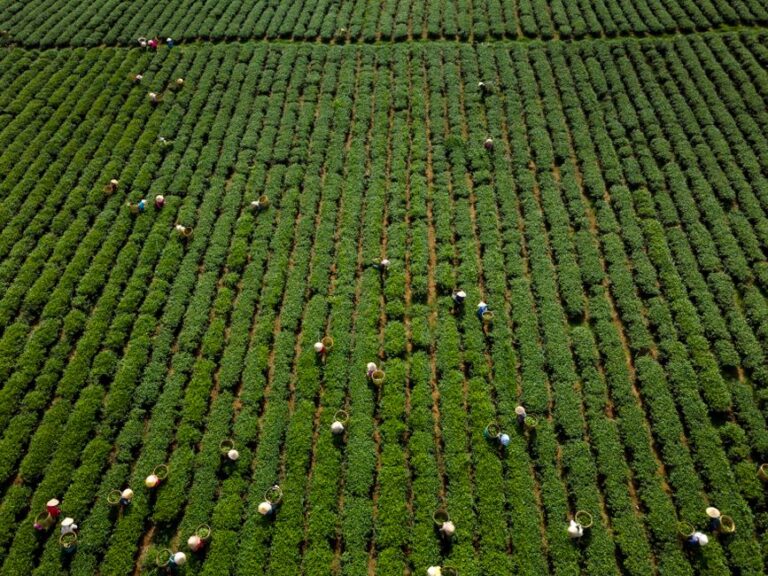organic agricultural supplies