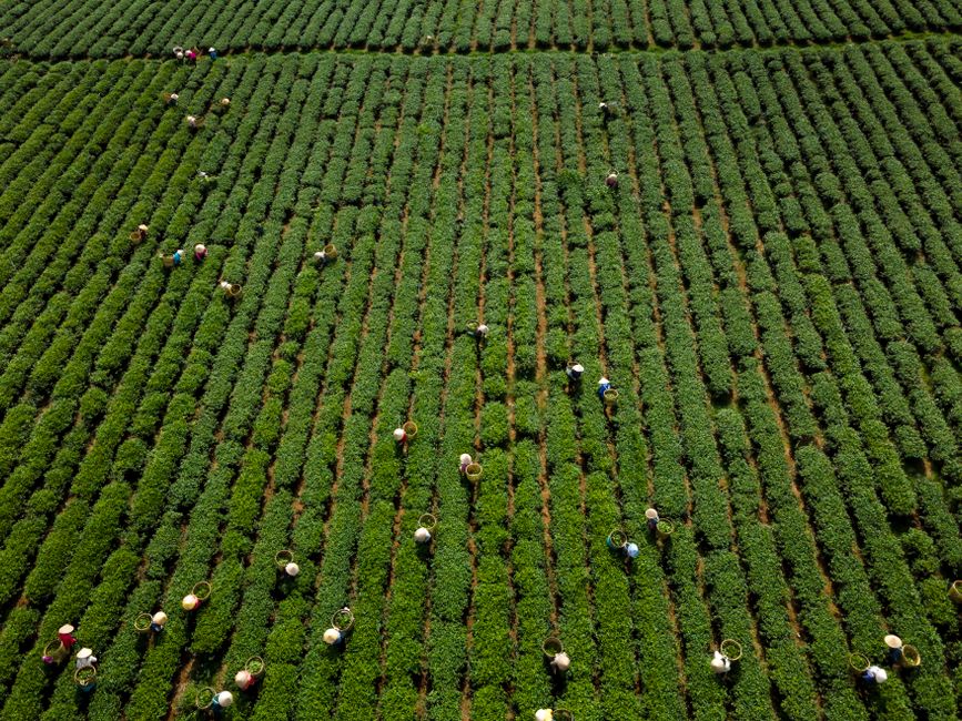 organic agricultural supplies