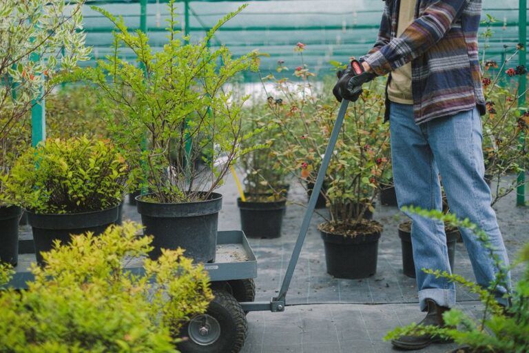 greenhouse equipment
